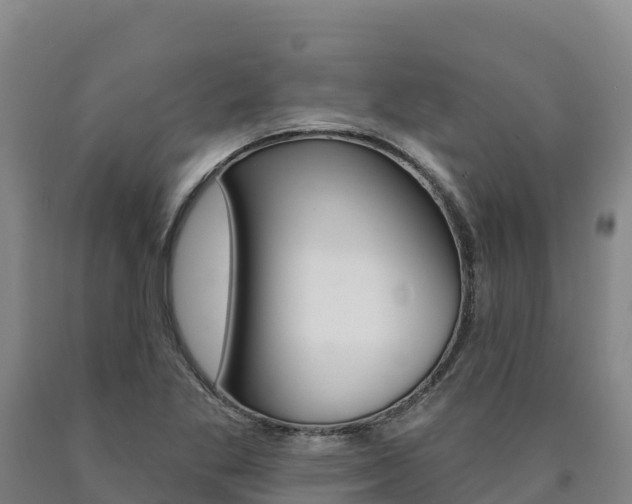 X0000090931269200707301107