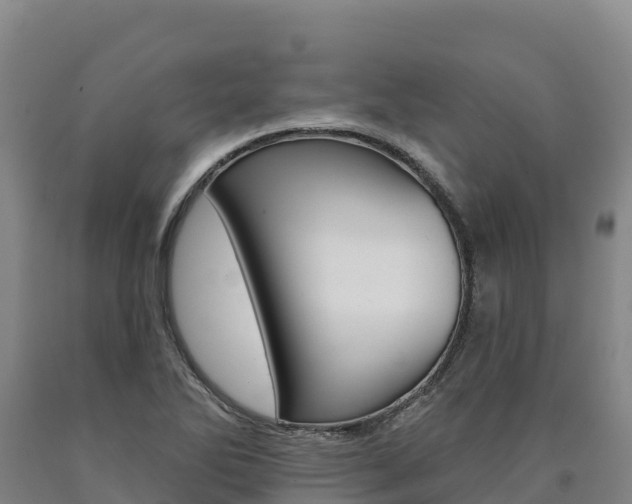 X0000090931270200707301107