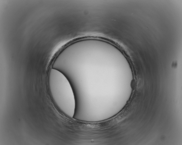 X0000090931271200707301107