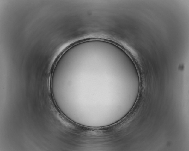 X0000090931272200707301107