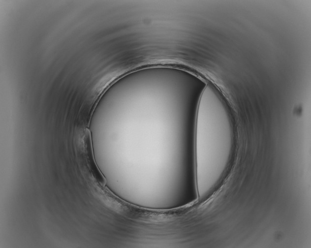X0000090931273200707301107