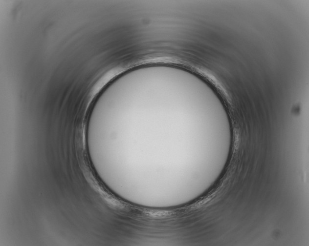X0000090931274200707301107