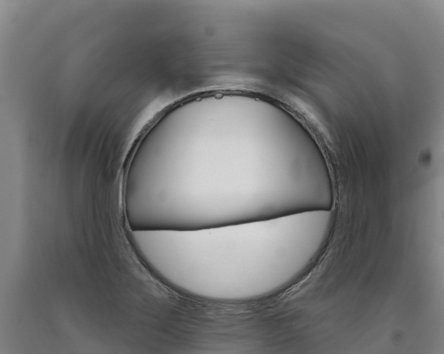 X0000090931275200707301107