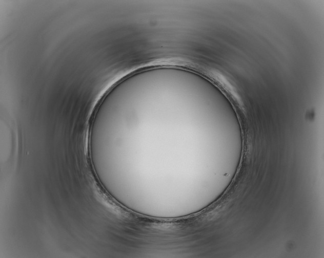 X0000090931276200707301107