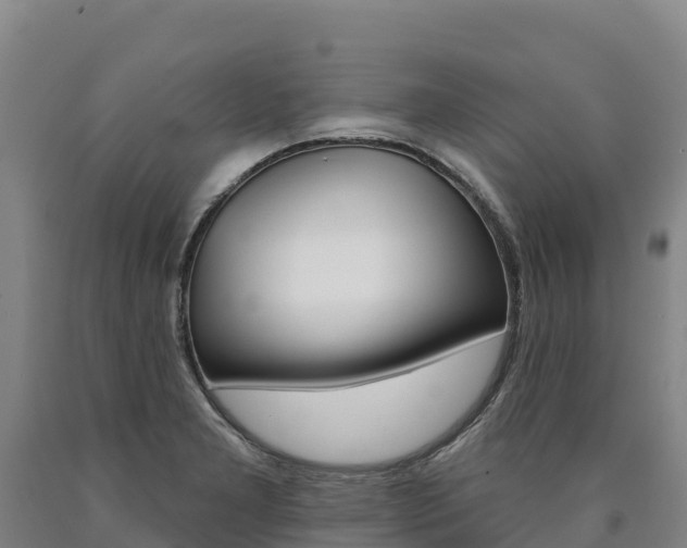 X0000090931277200707301107