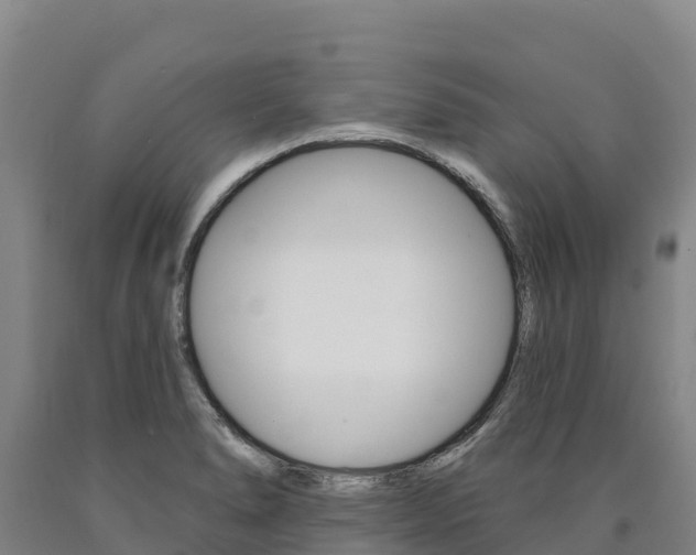 X0000090931278200707301107