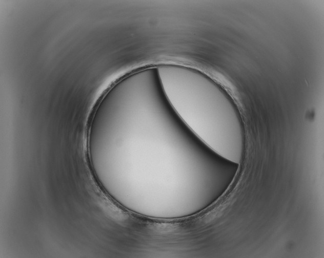X0000090931280200707301107