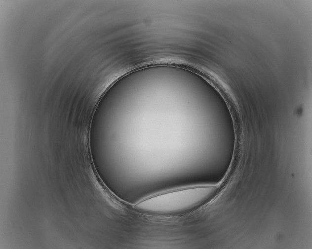 X0000090931281200707301107