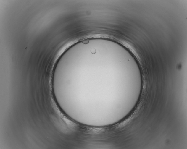 X0000090931282200707301107