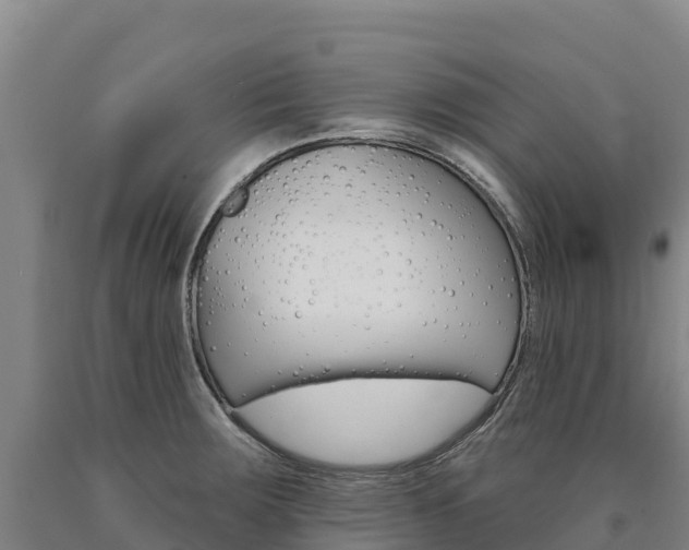 X0000090931283200707301107