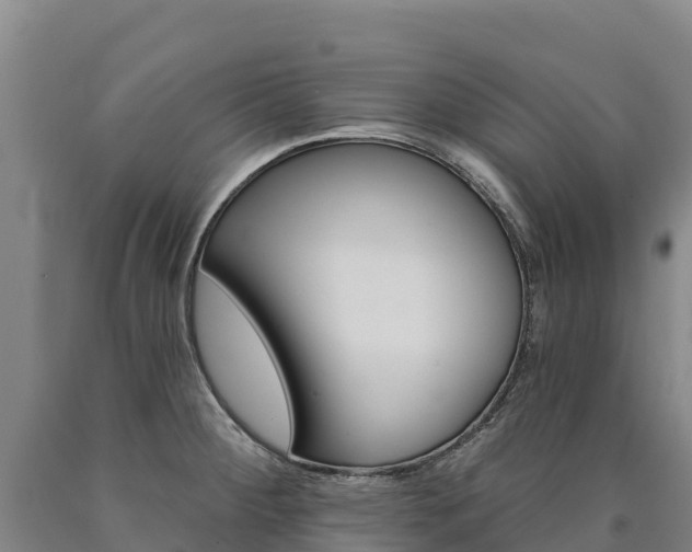 X0000090931284200707301107