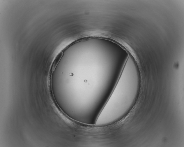 X0000090931285200707301107