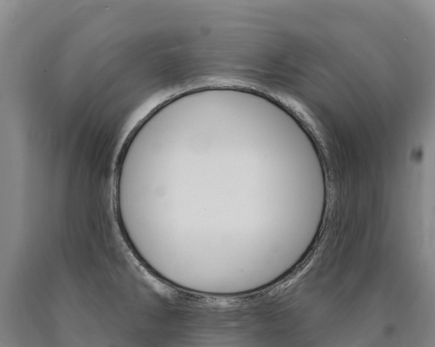 X0000090931286200707301107
