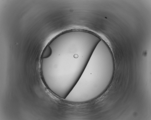 X0000090931287200707301107