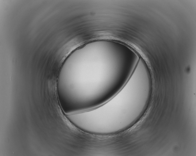 X0000090931289200707301107