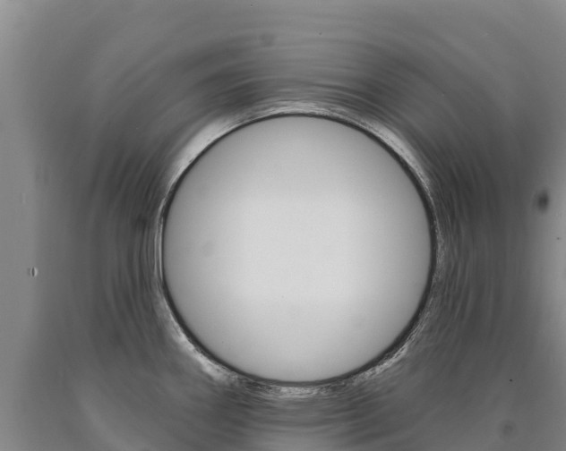 X0000090931290200707301107