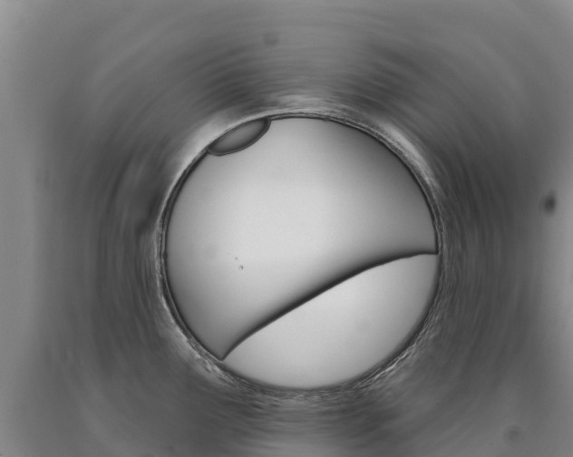 X0000090931291200707301107