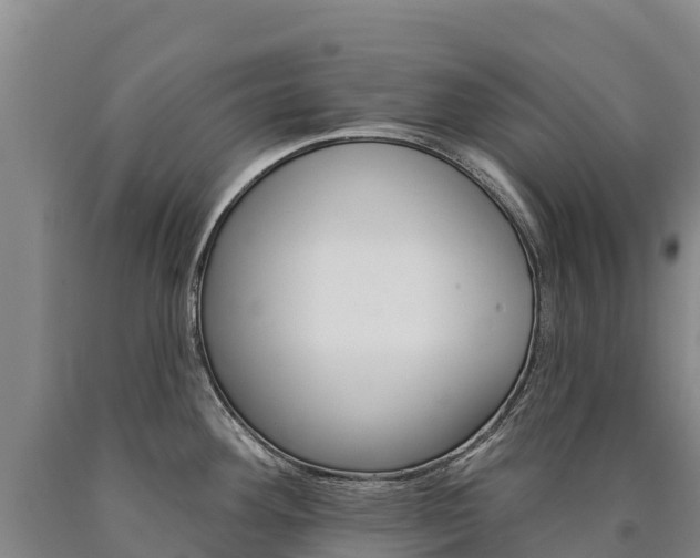 X0000090931292200707301107