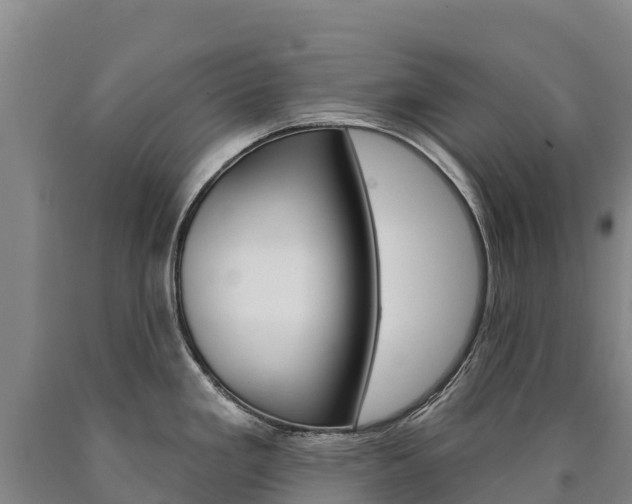 X0000090931293200707301107