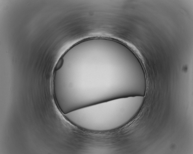 X0000090931295200707301107