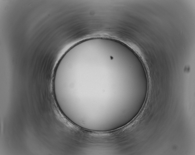 X0000090931296200707301107