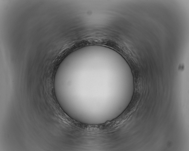 X0000090931297200707301106