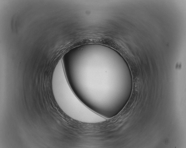 X0000090931298200707301106