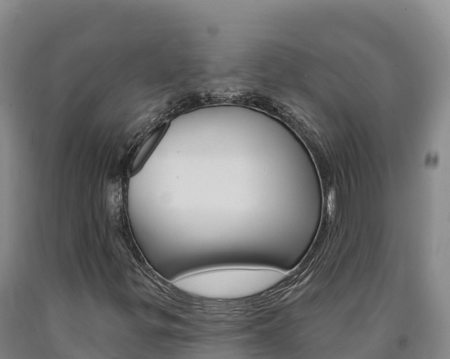 X0000090931299200707301106