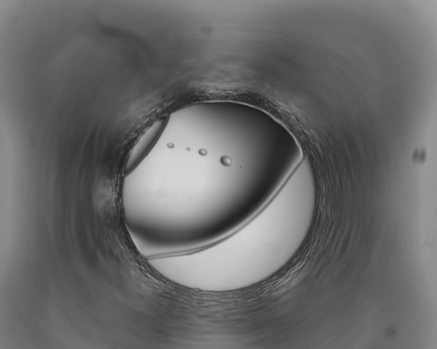 X0000090931300200707301106