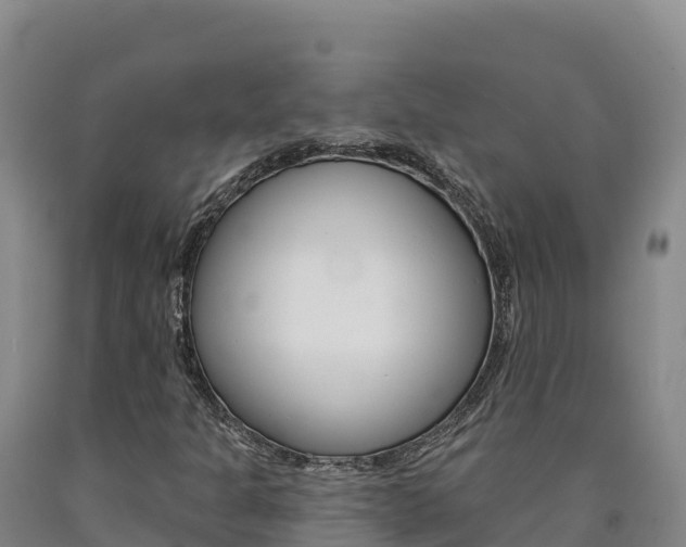X0000090931301200707301106