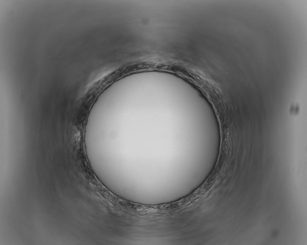X0000090931302200707301106