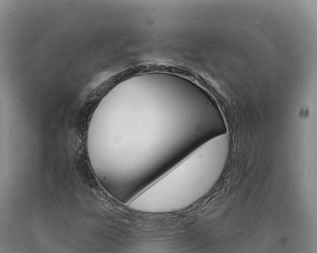 X0000090931303200707301106