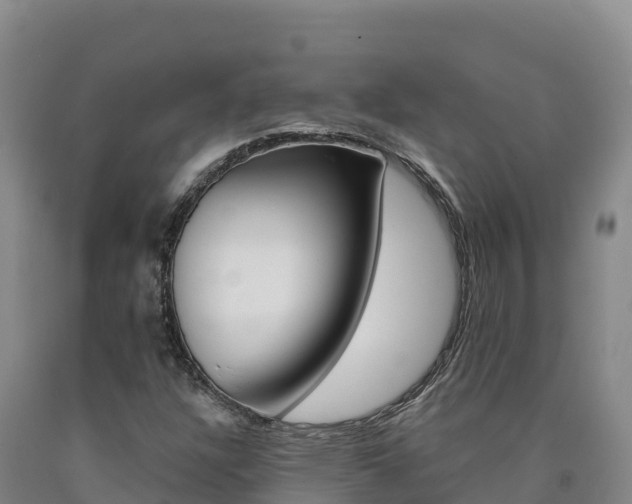X0000090931304200707301106