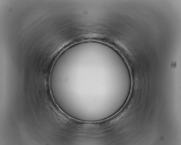 X0000090931305200707301106