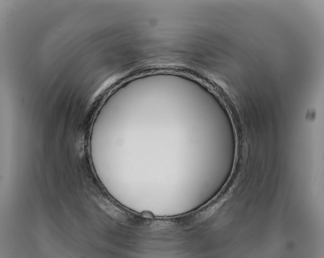 X0000090931306200707301106