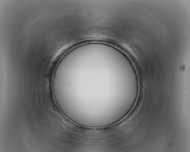 X0000090931307200707301106