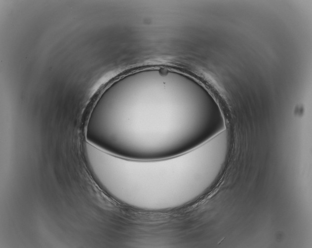 X0000090931308200707301106