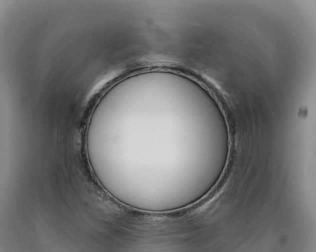 X0000090931309200707301106
