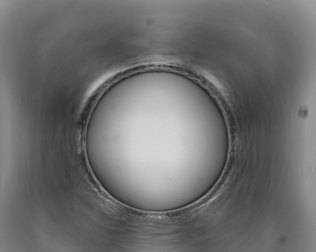 X0000090931310200707301106