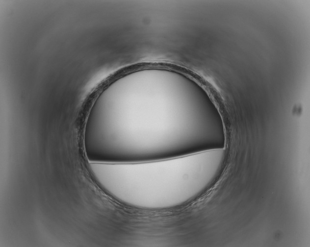 X0000090931311200707301106