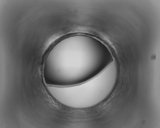 X0000090931312200707301106