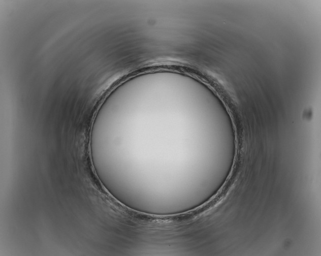 X0000090931313200707301106