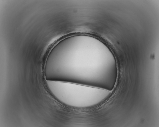 X0000090931315200707301106