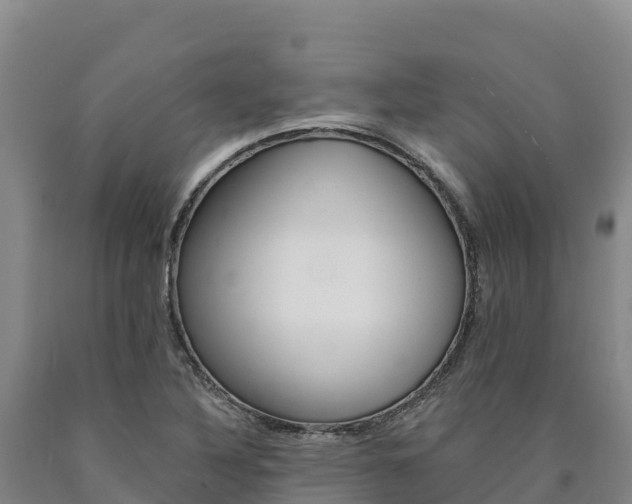 X0000090931316200707301106