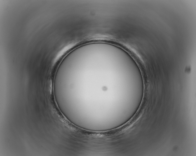 X0000090931317200707301106