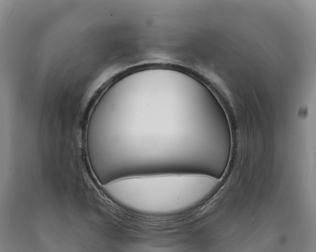X0000090931318200707301106