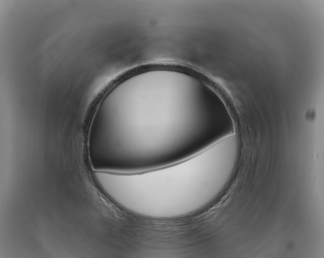 X0000090931319200707301106