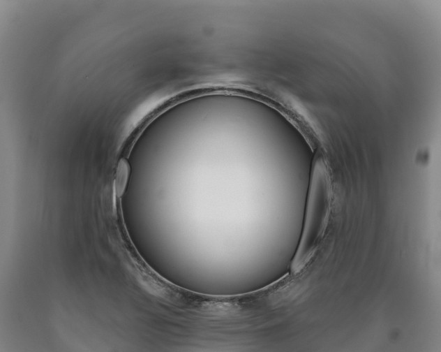 X0000090931320200707301106