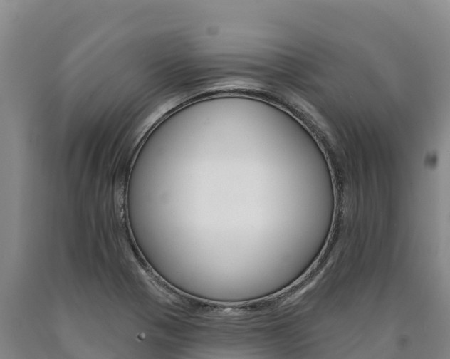 X0000090931321200707301106