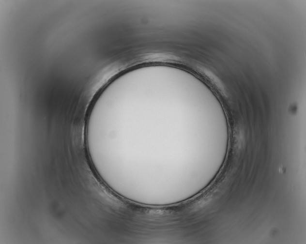 X0000090931322200707301106